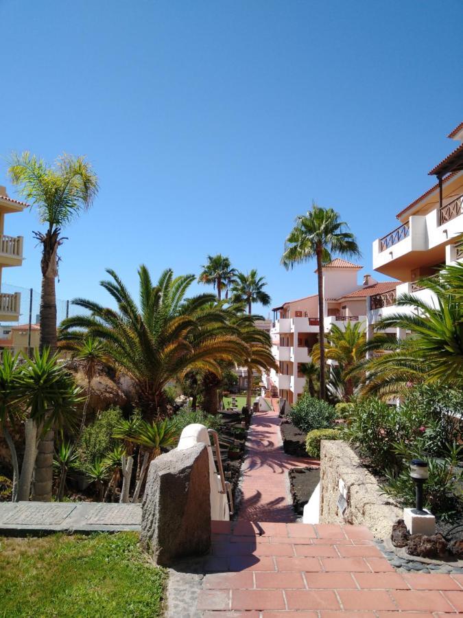 Forest Flat - Big Heated Pool, Terrace, Tv Channels, Golf Courses سان ميغيل ذي أبونا المظهر الخارجي الصورة
