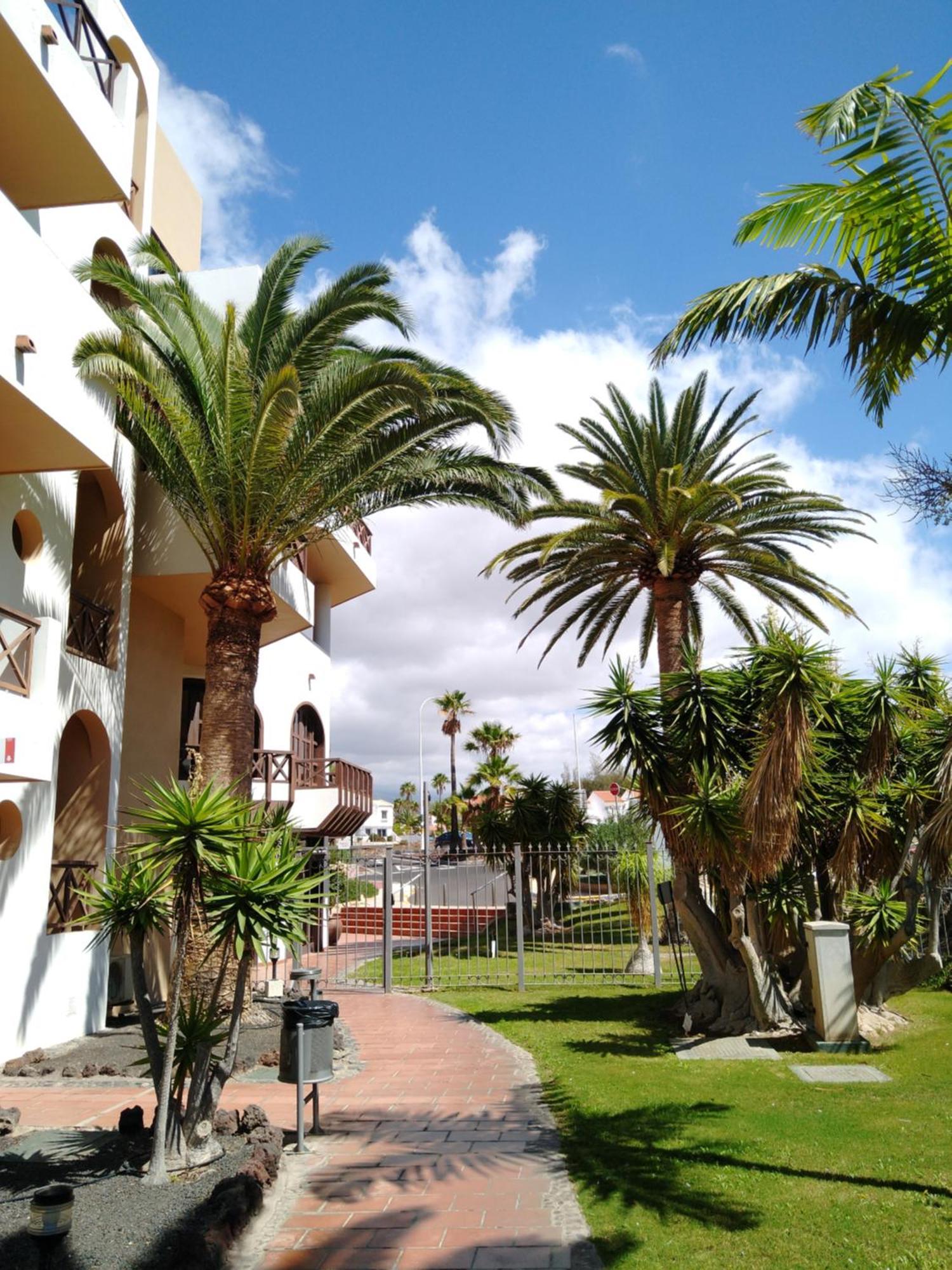 Forest Flat - Big Heated Pool, Terrace, Tv Channels, Golf Courses سان ميغيل ذي أبونا المظهر الخارجي الصورة